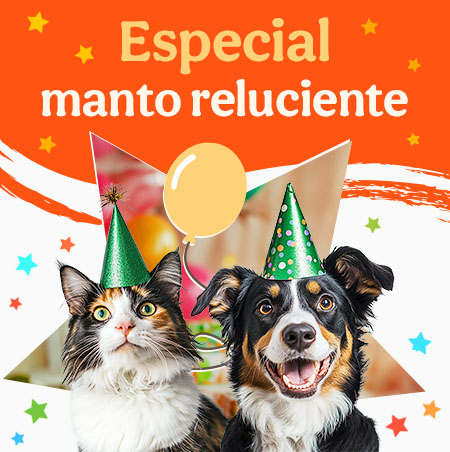 Cuida el manto de tu peludo con las mejores marcas.