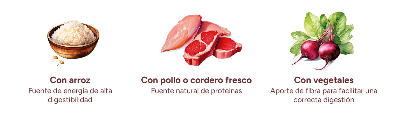 Criadores Monoproteico: con pollo o cordero fresco, vegetales y arroz.