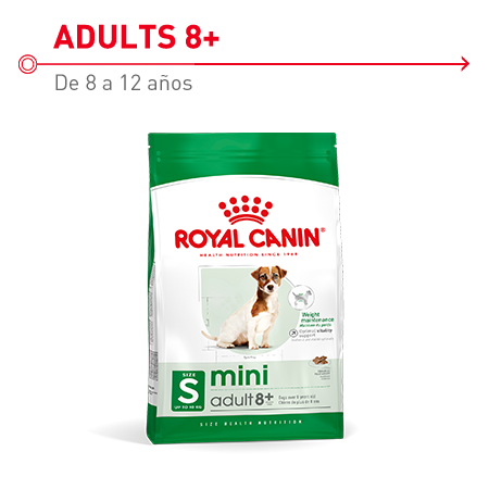 Royal Canin Mini Adult 8 para  perros de razas pequeñas (entre 1 kg y 10 kg) a partir de los 8 años.