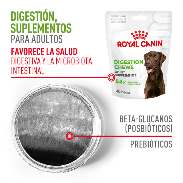 Royal Canin: Suplemento para perro adulto. Articulaciones y envejeciminto