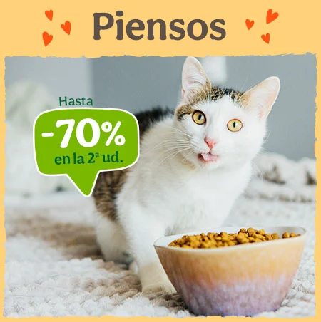 Piensos para Gatos: Hasta 70% dto en la 2ª unidad de piensos para tu gato.
