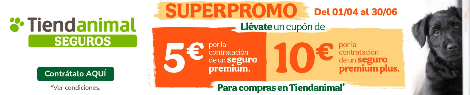 Tu seguro ahora con &iexcl;1 mes gratis!