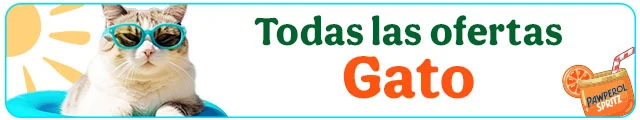 Todas las ofertas gato