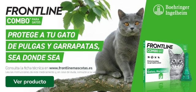 Frontline: Antiparasitarios para gatos.