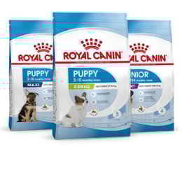 Royal Canin Cachorro
