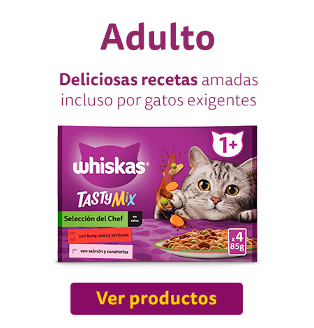 Productos para gato adulto