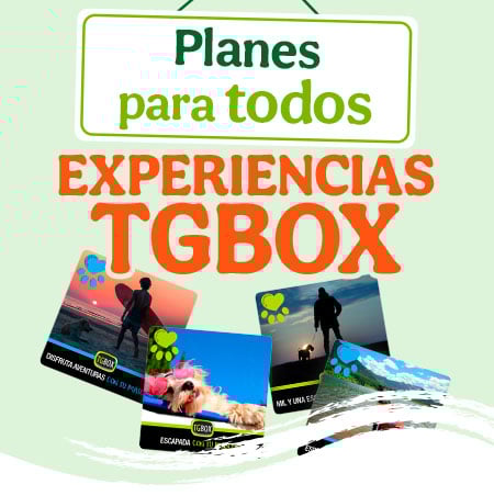 Experiencias TGBOX	