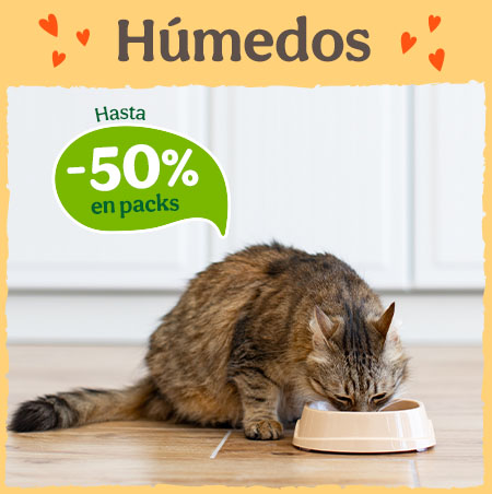 Hasta 50% dto en packs de comida húmeda para gatos.