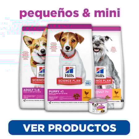Descubre el alimento adecuado de Hill's Science Plan para tu perro de razas mini