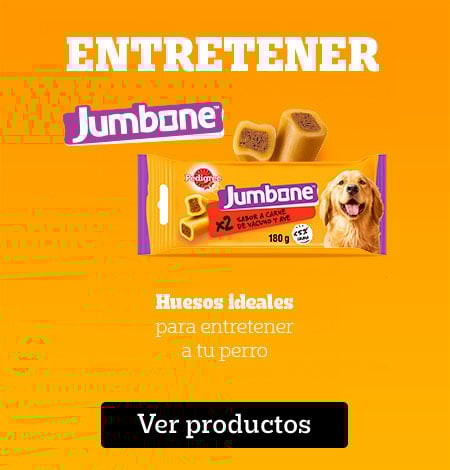Snacks para entretener
