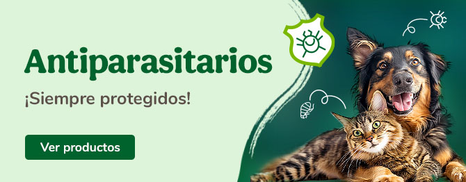 Siempre protegidos con los mejores antiparasitarios
