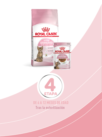 Royal Canin Gatito