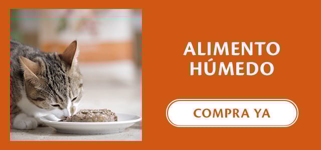 Comida húmeda para gato de la marca Wellness Core