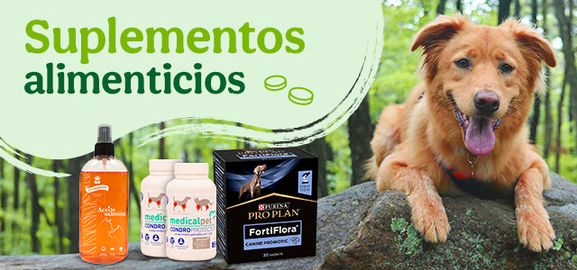 Suplementos alimenticios