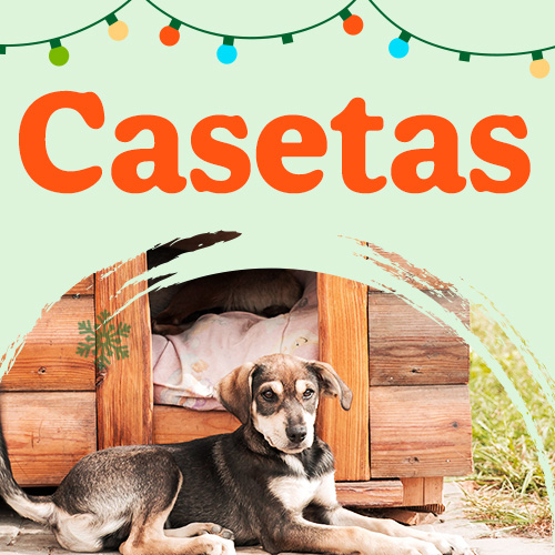 Ofertas casetas
