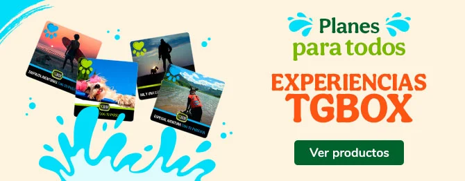 Experiencias TGBOX