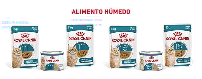 Royal Canin Senior.  Encuentra la comida húmeda que mejor se adapta para tu gato de edad avanzada