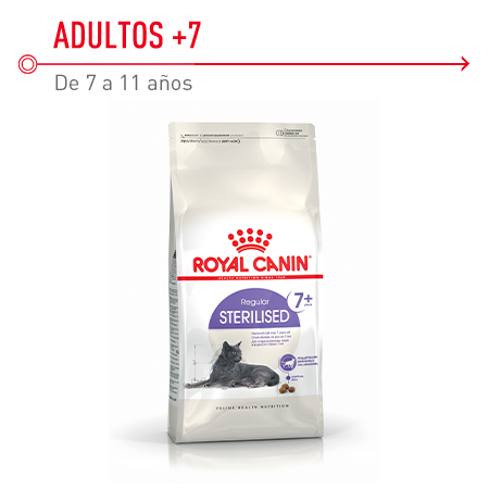 Royal Canin Adult 7+ Regular Sterilised pienso para gatos adultos esterilizados a partir de 7 años