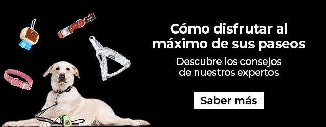 Pasear con tu perro fortalece vuestro vínculo. Descubre más.