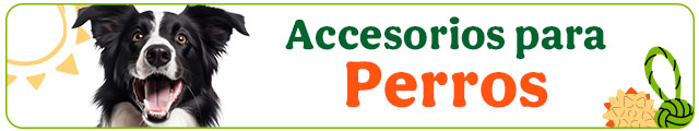 Los mejores accesorios para perro.