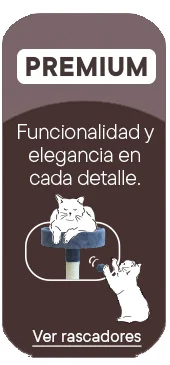 Leeby Premium: Rascadores elegantes y funcionales en cada diseño.