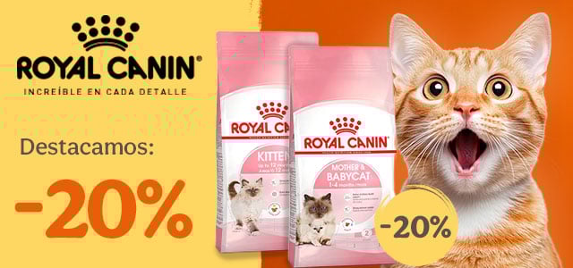 Royal Canin: 20% dto en pienso para gato.