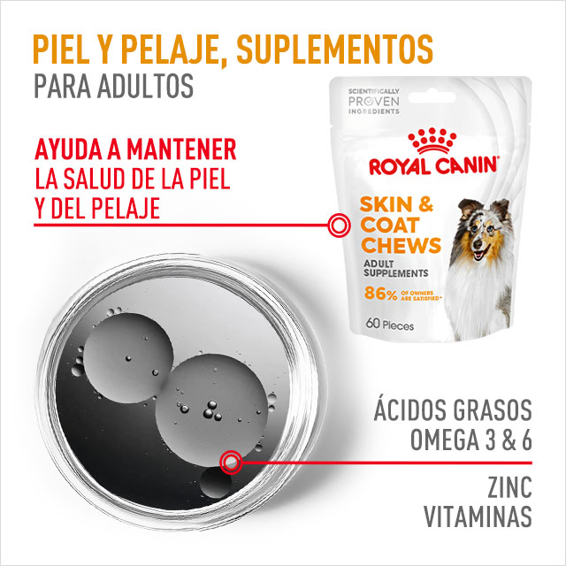 Royal Canin: Suplemento para perro adulto. Piel y Pelaje
