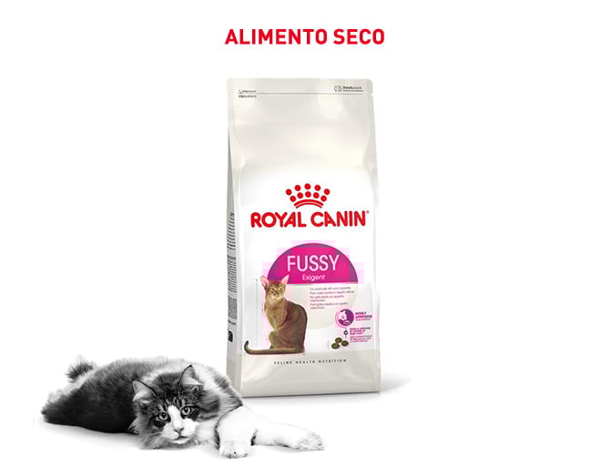 Royal Canin Fussy: el pienso perfecto si tu gato tiene el paladar exigente