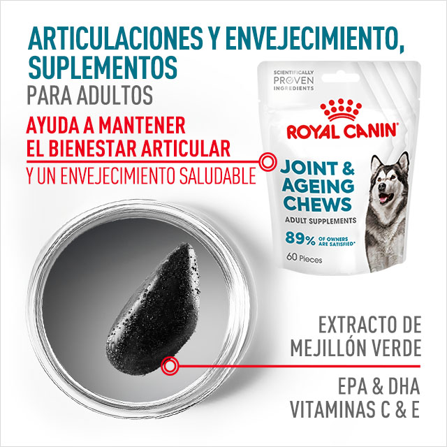 Royal Canin: Suplemento para perro adulto. Articulaciones y envejeciminto