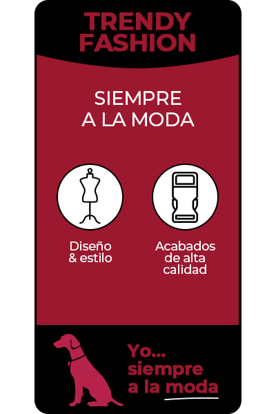 Gotoo Trendy Fashion- Accesorios de paseo con diseño y estilo. Acabados de alta calidad ¡siempre a la moda!