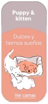 Puppy & Kitten, Camas para cachorros y gatitos