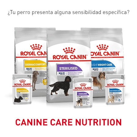 Gama Canine Care Nutrition