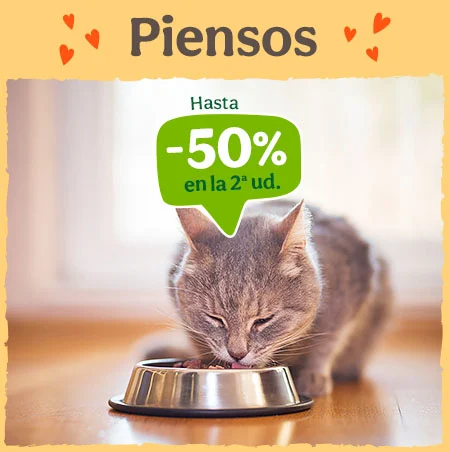 Piensos para Gatos: Hasta 50% dto en la 2ª unidad de piensos para tu gato.