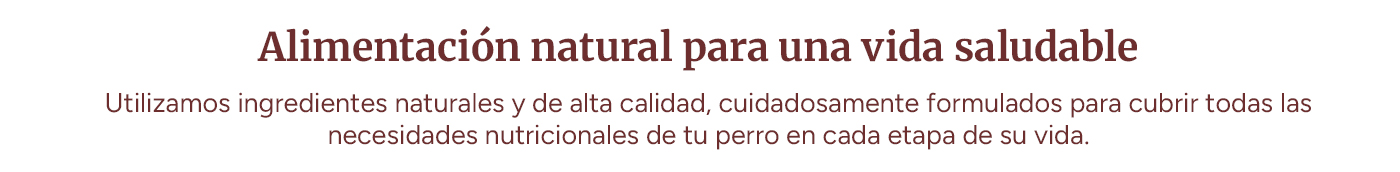 Alimentación para una vida saludable con ingredientes naturales y de alta calidad.