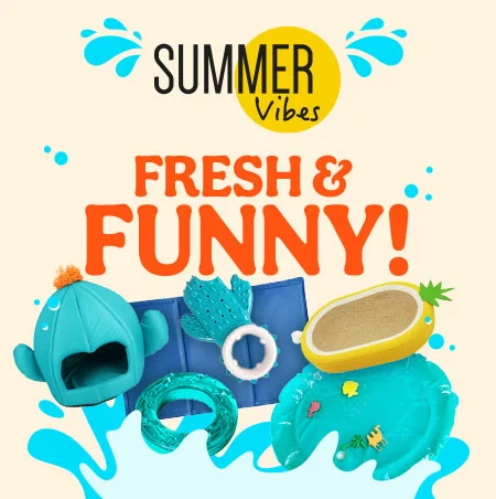 Summer Vibes: los mejores productos para disfrutar del verano para perro y gato