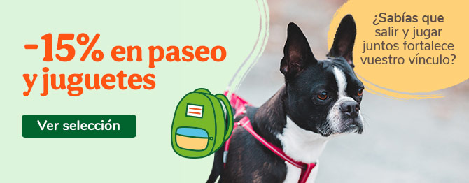 15% en accesorios de paseo y juguetes