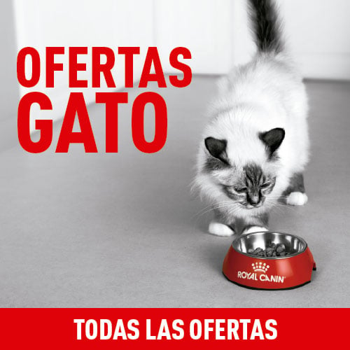 Royal Canin: Ofertas para gatos.