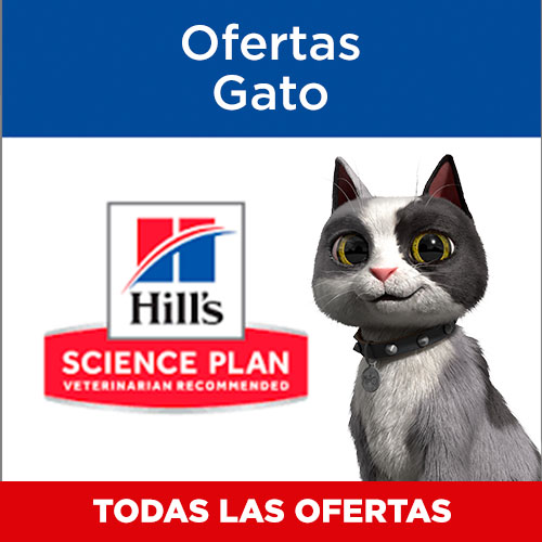 Ofertas para gato.