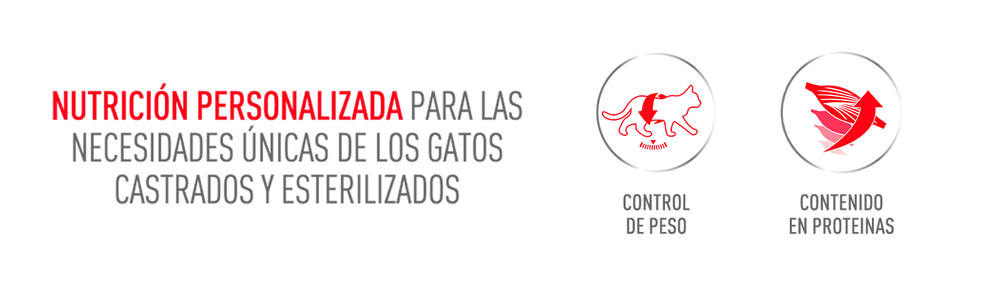 Royal Canin: Nutrición especialidada para las necesidades únicas de los gatos esterilizados y castrados.