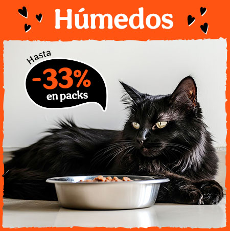 Hasta 33% dto en packs de comida húmeda para gatos.