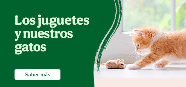 Juguetes para gatos.