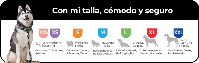 Con su talla ¡cómodo seguro! desde la xxs a la xxl para escoger la que mejor se adapte a tu peludo