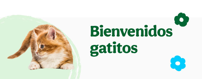 Tienda Online de productos y comida para mascotas - Tiendanimal Tienda Online de productos y comida para mascotas - Tiendanimal