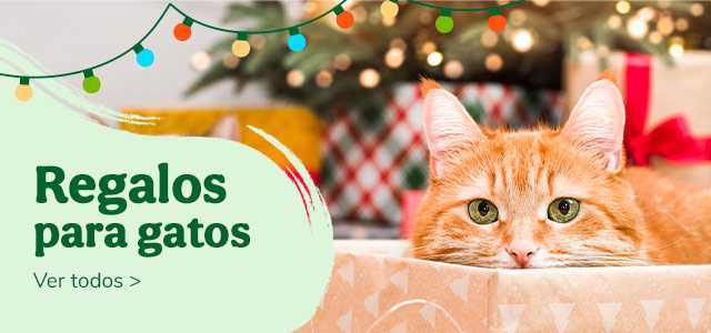 Regalos para Gatos