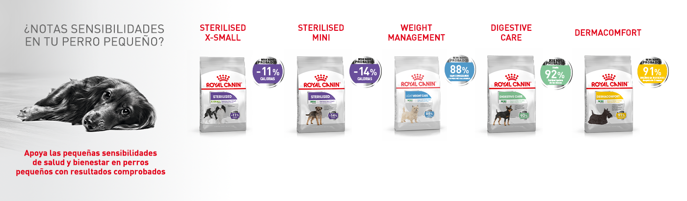 Royal Canin Sensibilidades. Apoya las pequeñas sensibilidad de salud y bienenestar en perros de razas pequeñas