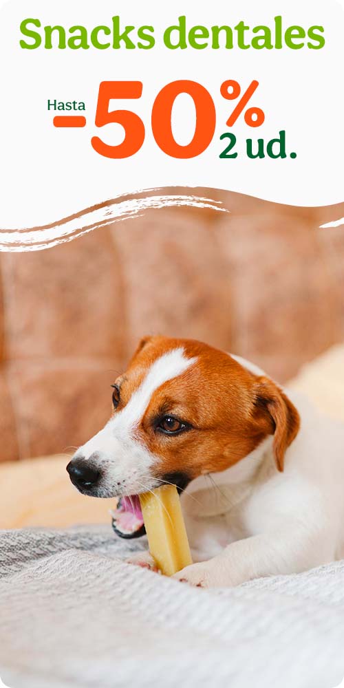 Hasta 50% dto en la 2ª unidad de snacks dentales para tu peludo.