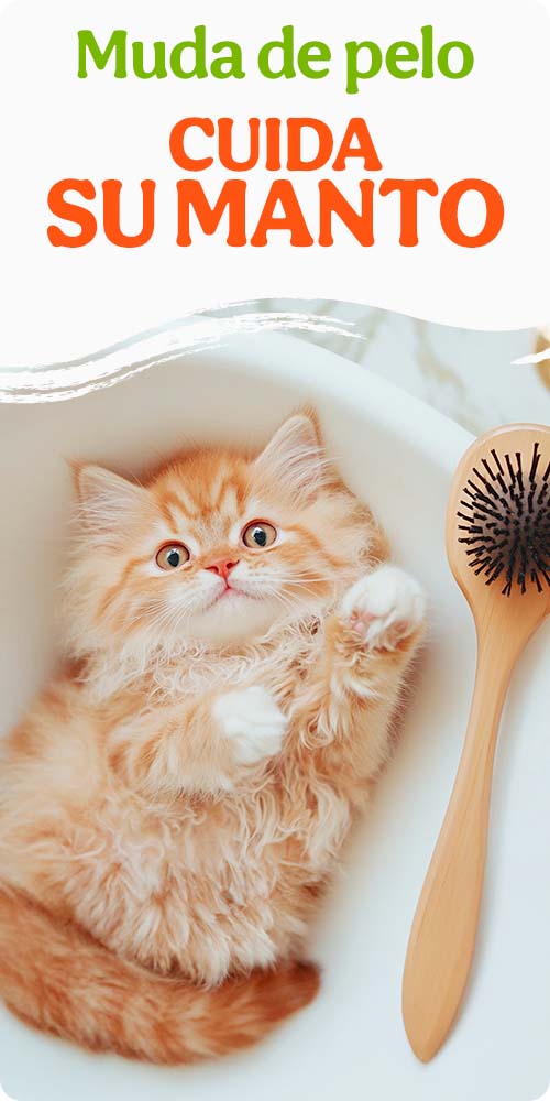 Cuida su manto con súper precios.