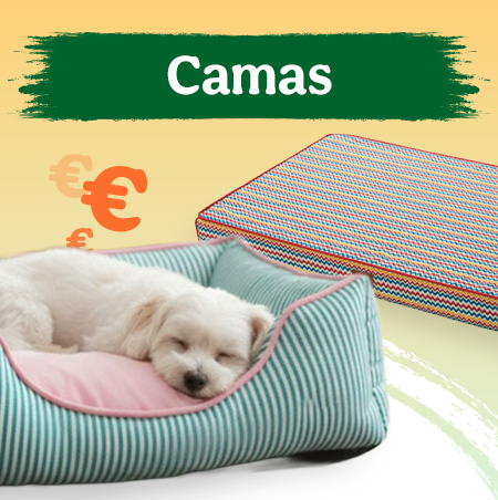 Camas para perros.