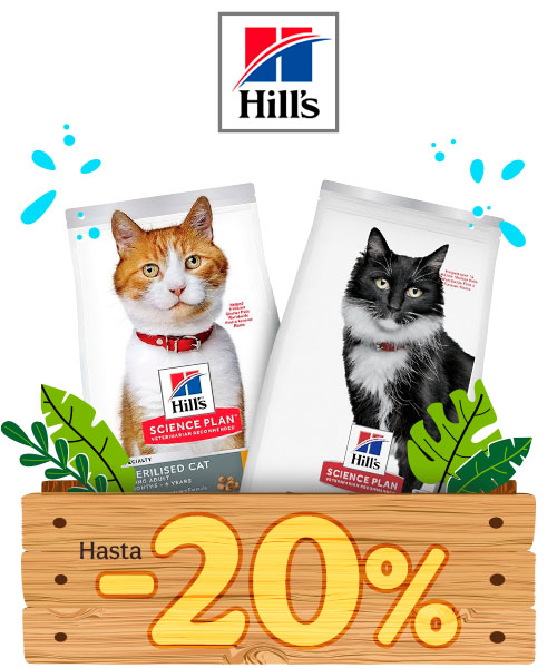 Hill’s Science Plan: Hasta 20% dto en pienso para gatos.