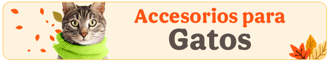 Los mejores accesorios para gato.